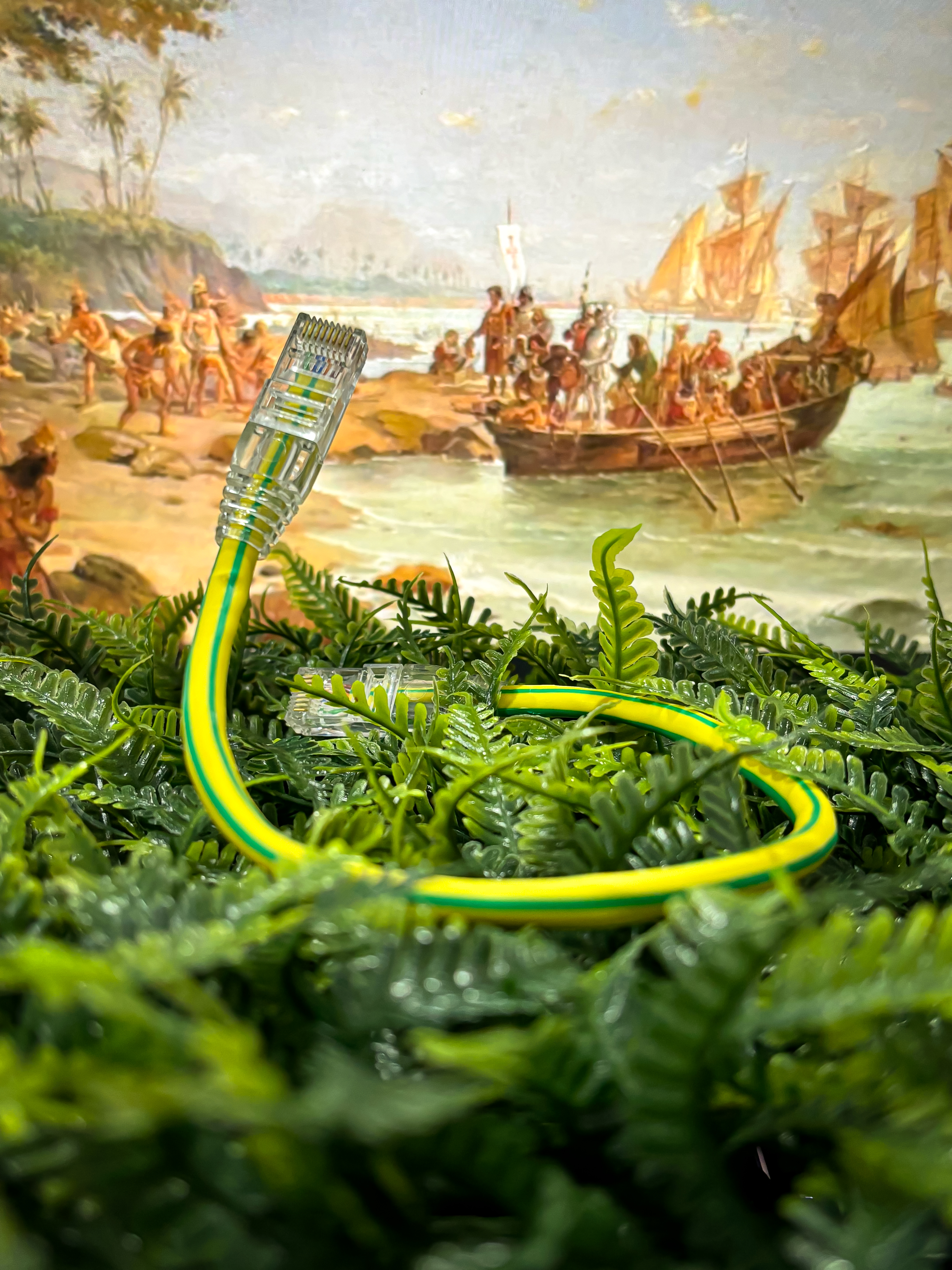 Patch cords made in Brazil